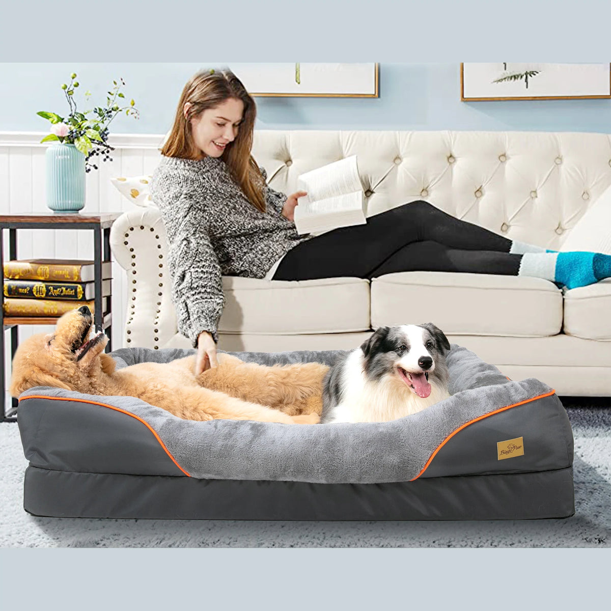 BINGOPAW Removable Cover Foam Dog Bed With Washable Waterproof Design