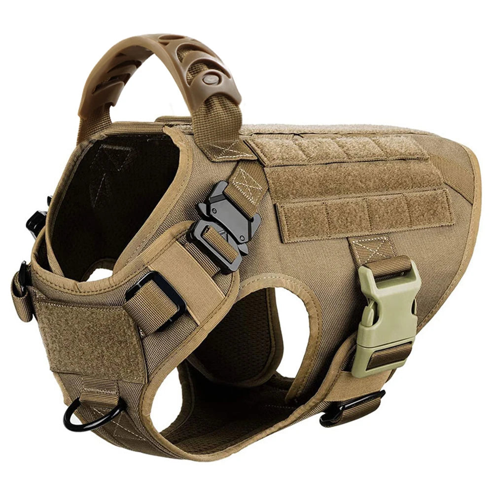 PetraVEL Padded Nylon Dog Harness And Leash Set With Buckle