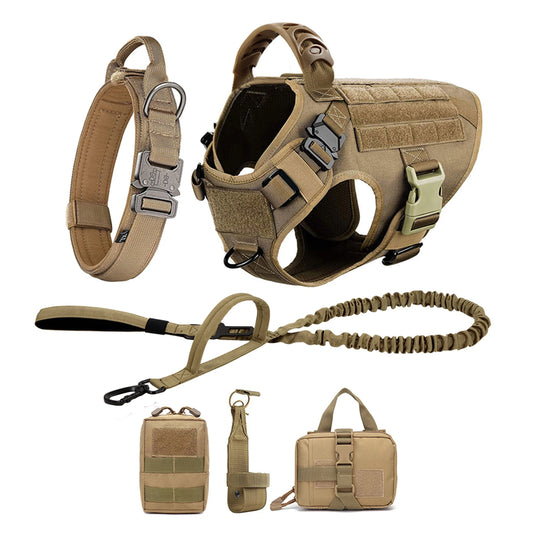 PetraVEL Padded Nylon Dog Harness And Leash Set With Buckle