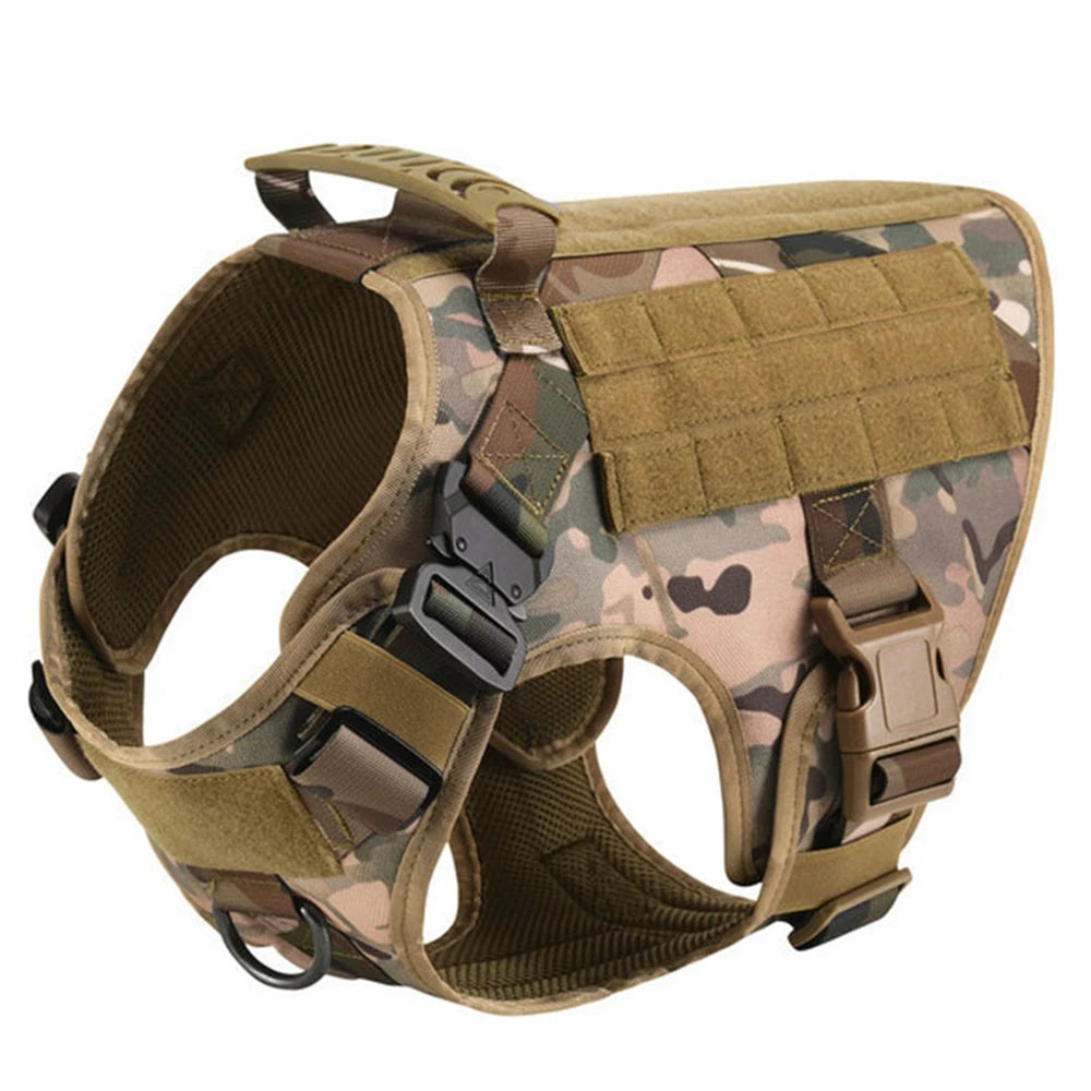 PetraVEL Padded Nylon Dog Harness And Leash Set With Buckle