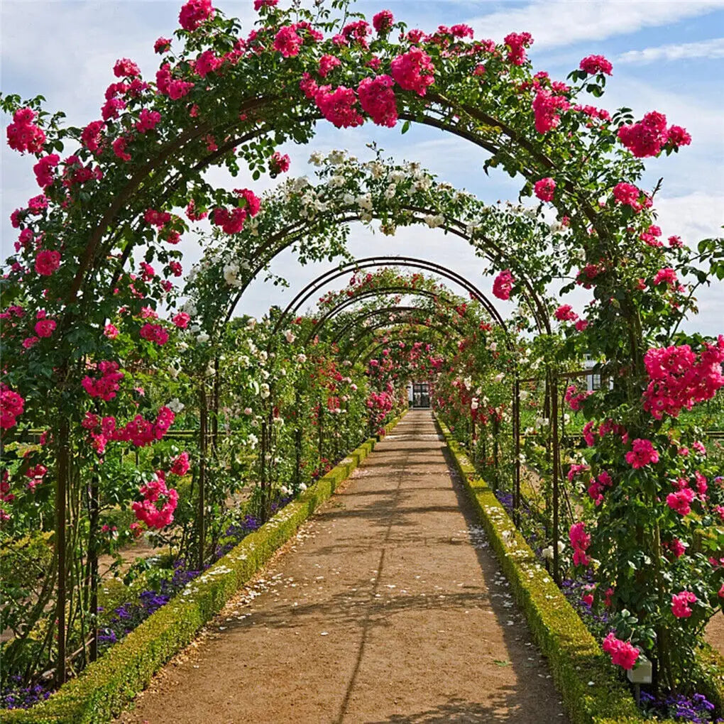 Metal Garden Arch Pergola Trellis For Outdoor Climbing Rose Support