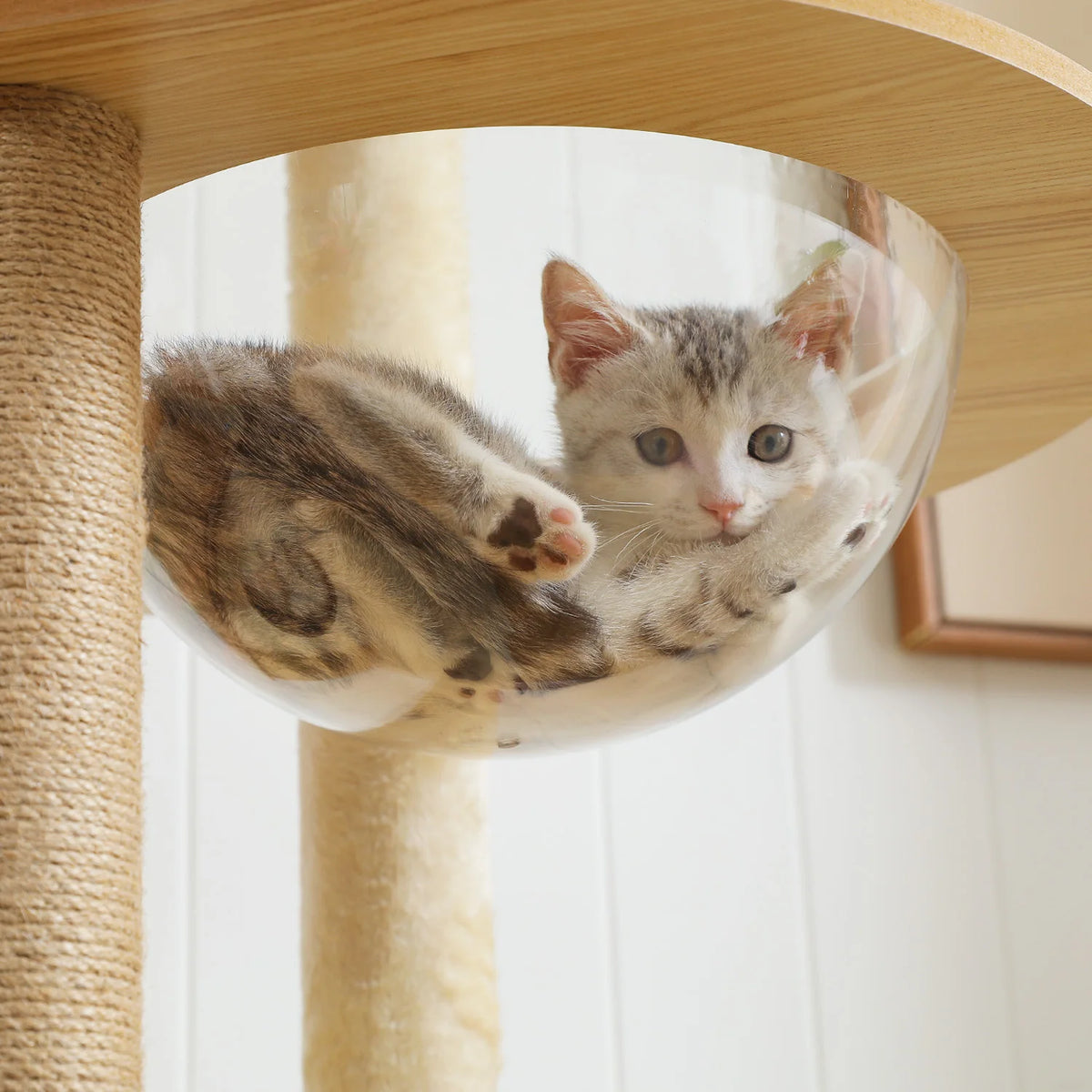 PAWZ Ro Multi-Level Cat Tree With Scratching Posts And Condo