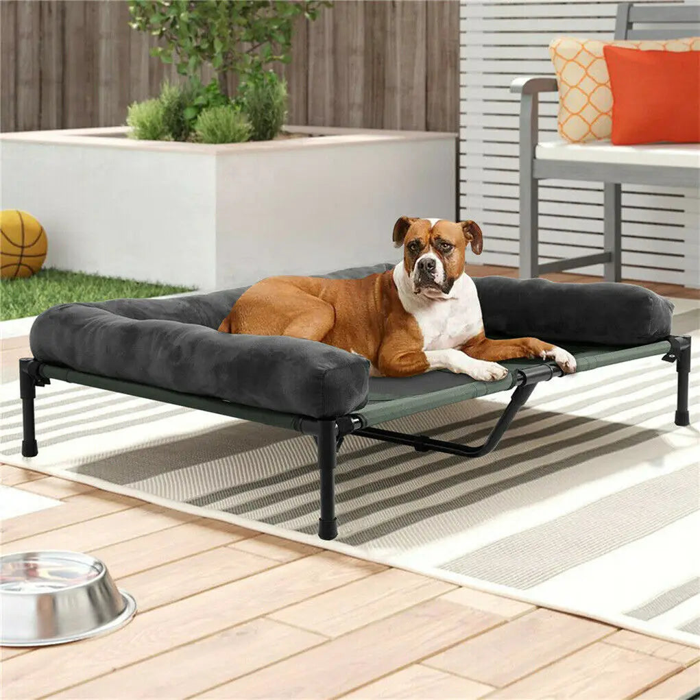 Bingopaw Elevated Cooling Pet Lounger With Breathable Metal Frame