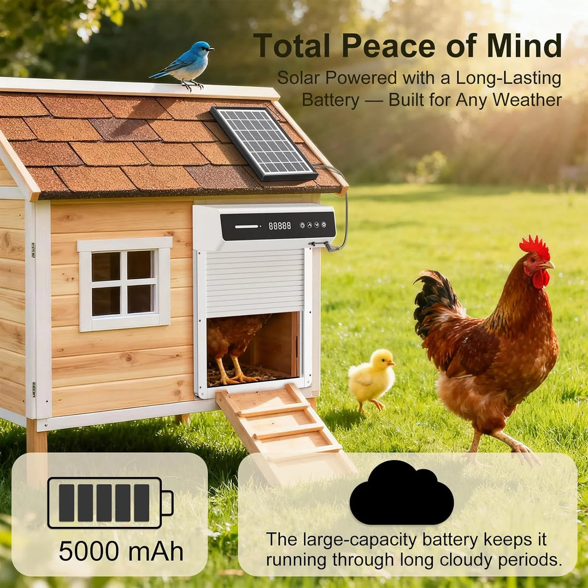 Automatic Solar Powered Chicken Coop Door With LCD Screen