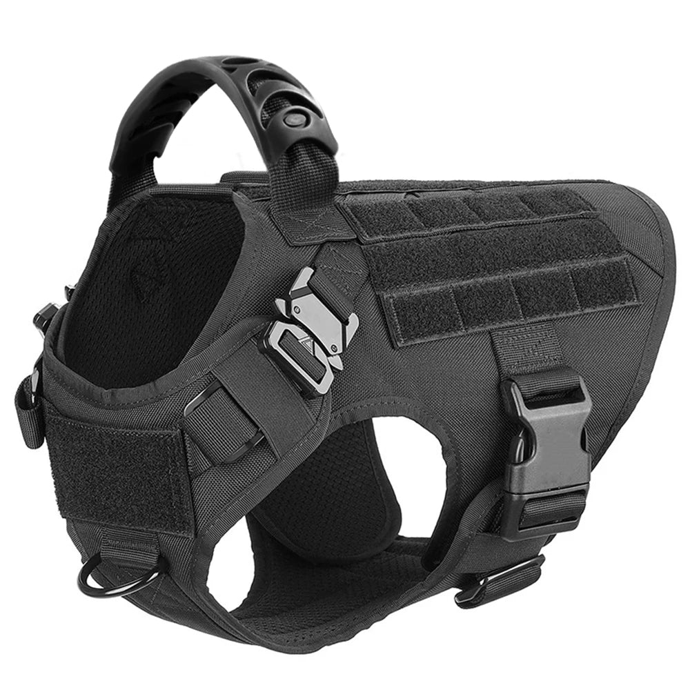 PetraVEL Padded Nylon Dog Harness And Leash Set With Buckle
