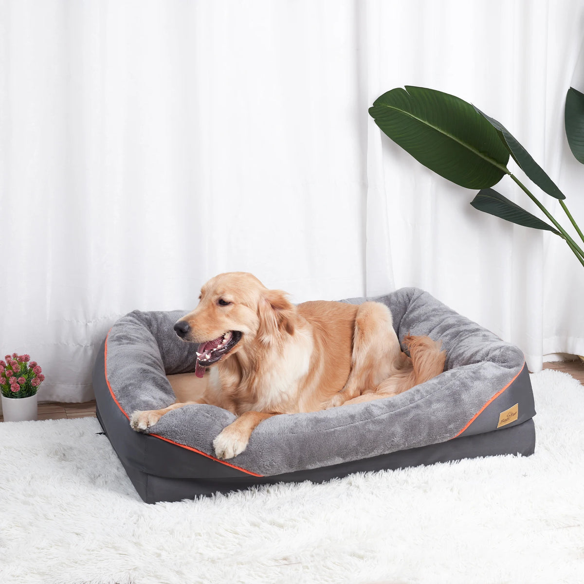 BINGOPAW Removable Cover Foam Dog Bed With Washable Waterproof Design